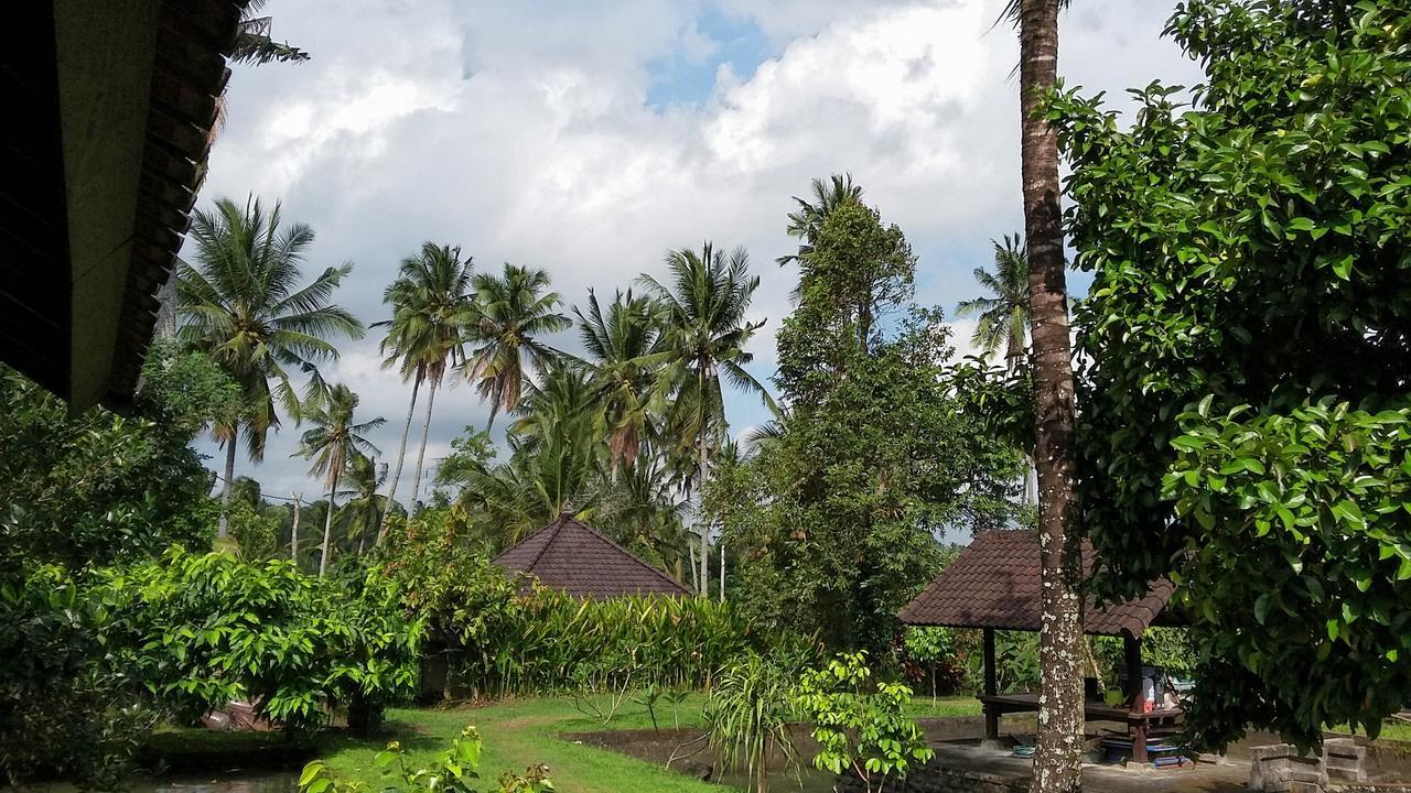 Natural Lodge 2 Selemadeg  Экстерьер фото