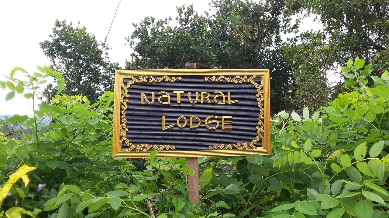 Natural Lodge 2 Selemadeg  Экстерьер фото